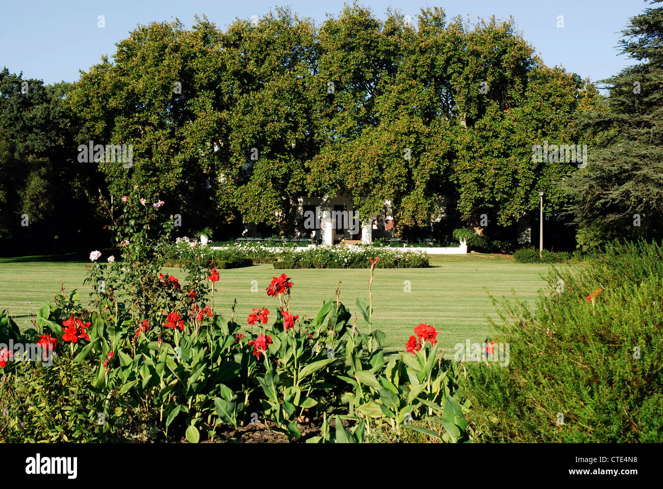 Nederburg Wine Estate, Paarl, Westkap, Südafrika Stockfoto