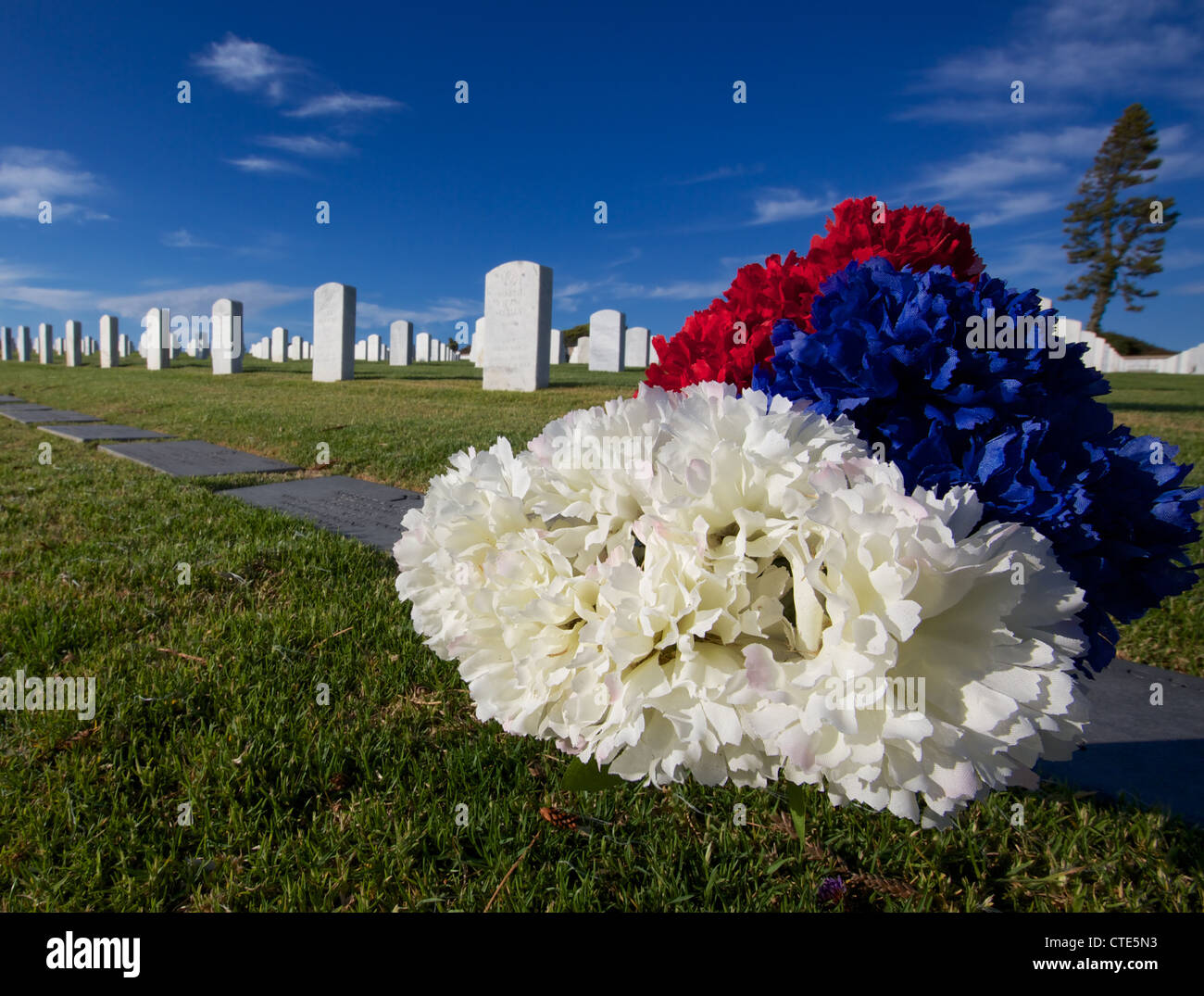 Rot weiß und blau Glowers Spitze ein Veteranen-Grab Stockfoto