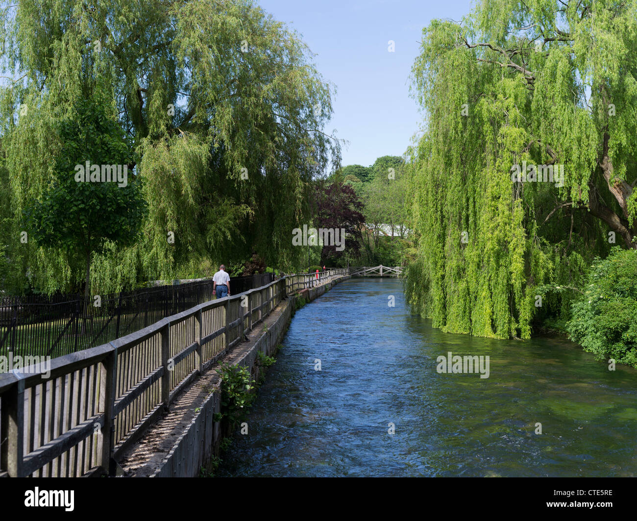 dh River Itchen WINCHESTER HAMPSHIRE Menschen am Flussufer Spaziergang Pfad Weinend Weidenbaum Flussufer uk City großbritannien Stockfoto