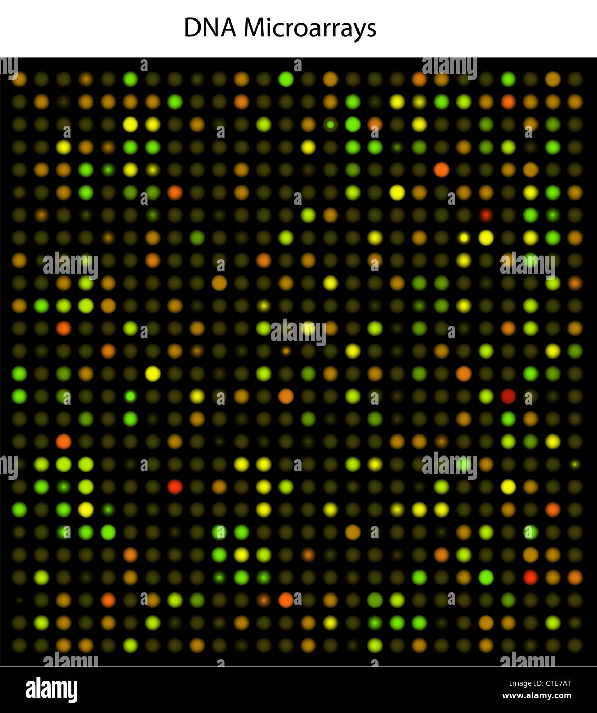 DNA-microarrays Stockfoto