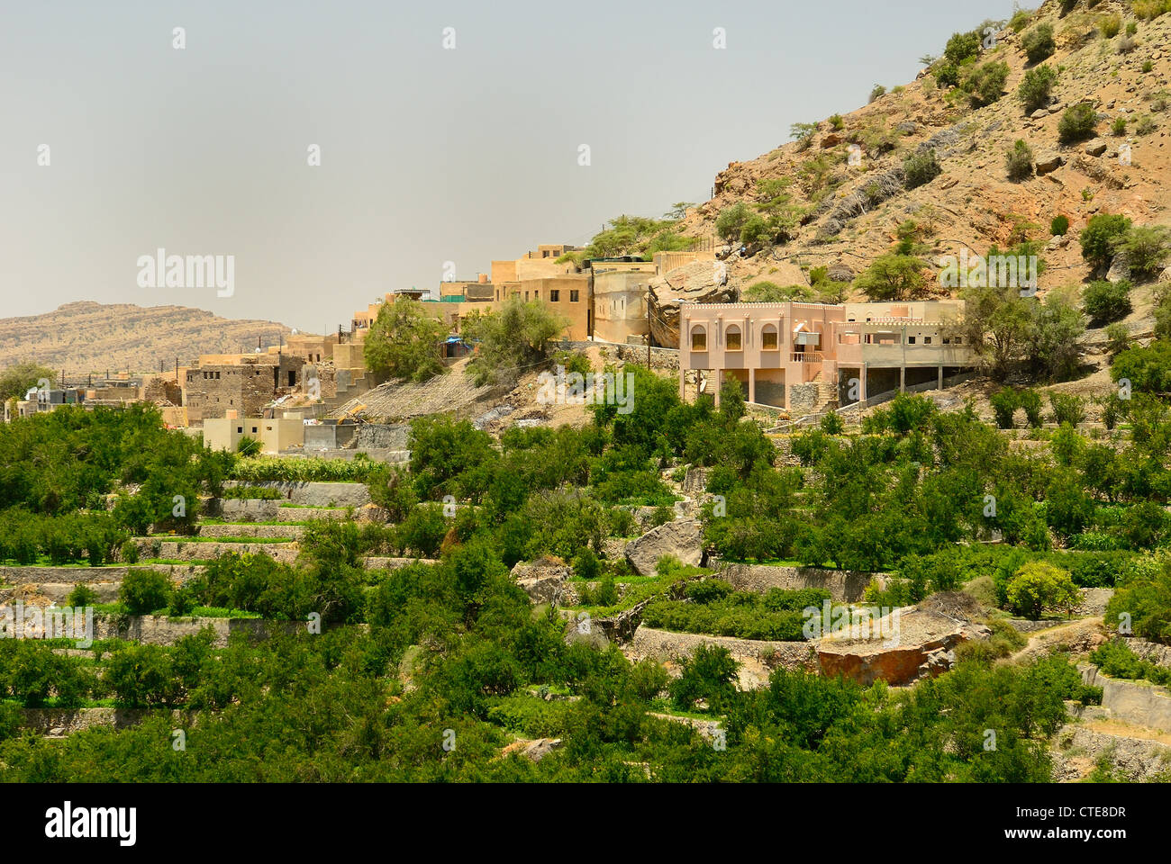 Dorf unter dem Saiq Plateau im Bereich von Jabal al Akhdar des westlichen Hajar-Gebirge, Oman Stockfoto