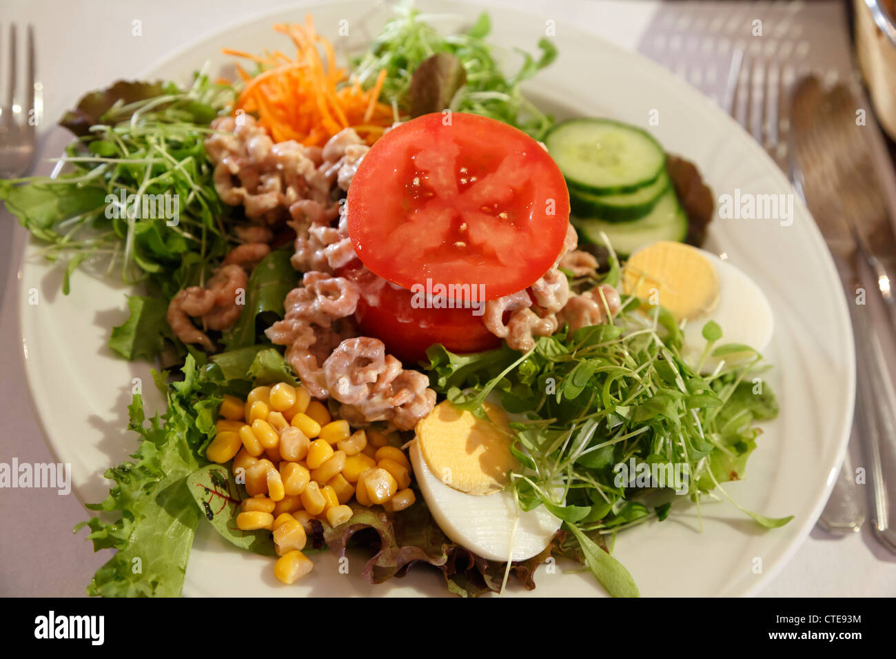 Salat mit kleinen Garnelen und Tomaten in ein belgisches Restaurant. Stockfoto