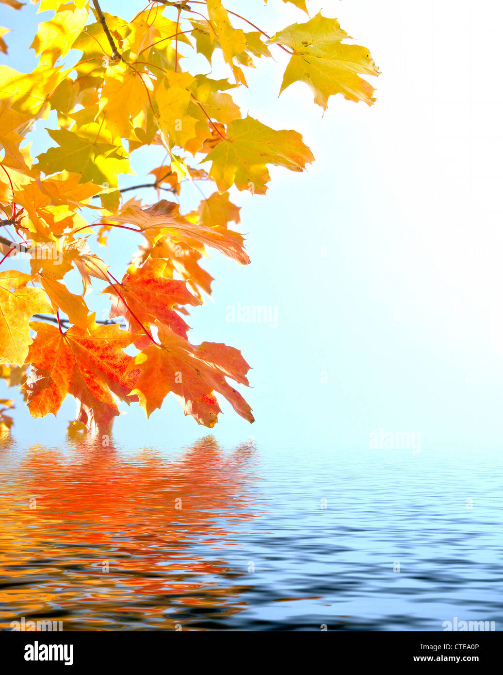 Herbstlaub mit Wasser Wellen Reflexion Stockfoto