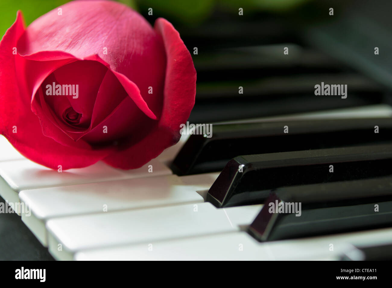 Liebe und Musik Stockfoto