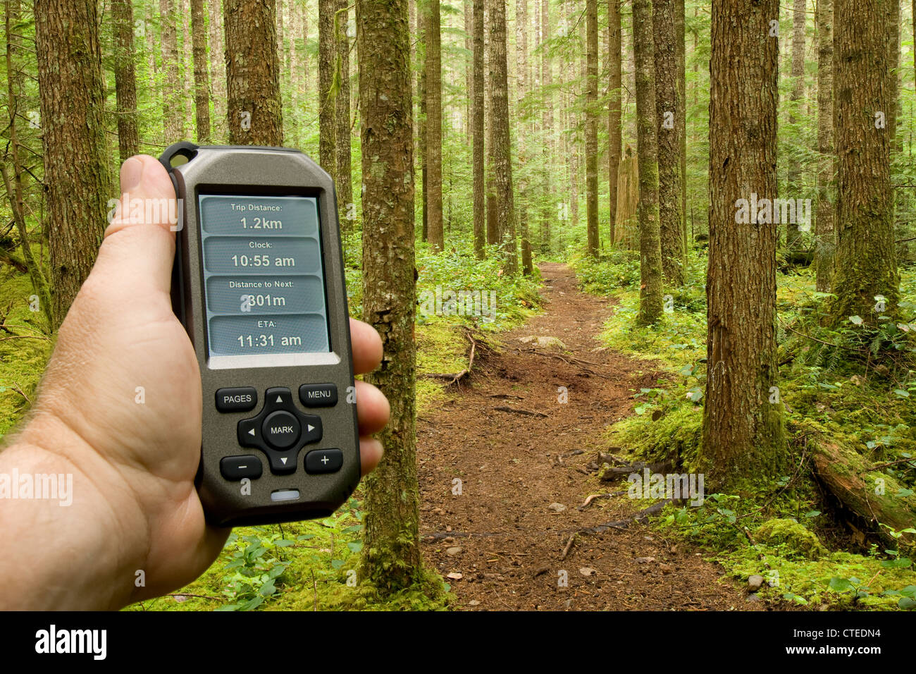 Ein Handheld-GPS-Gerät wird verwendet, um Fortschritte und Entfernung auf einem Waldweg zu überprüfen Stockfoto