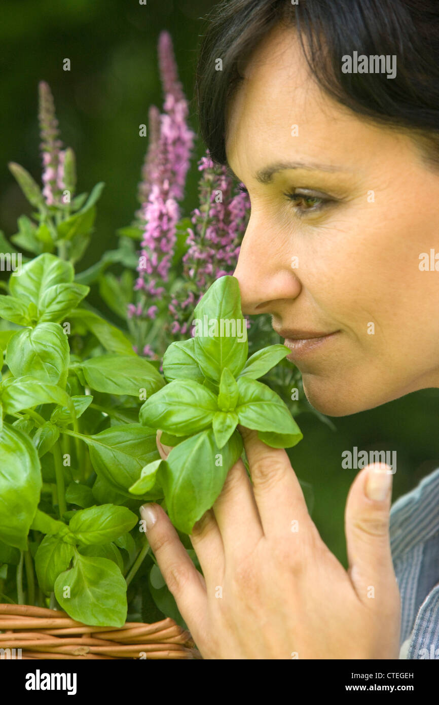 Frau riecht frischen Basilikum Stockfoto