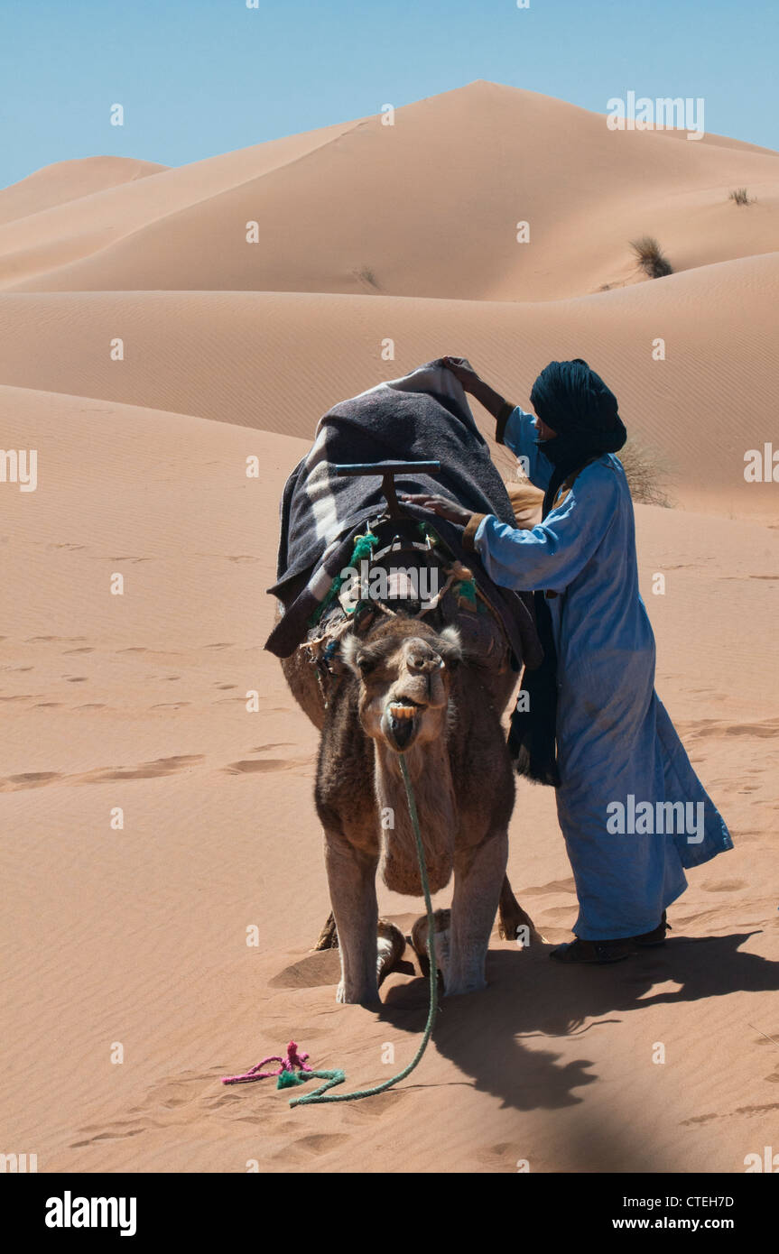 ein Berber und sein Kamel an einem Wüstencamp in der Sahara zu Erg Chigaga, Marokko Stockfoto