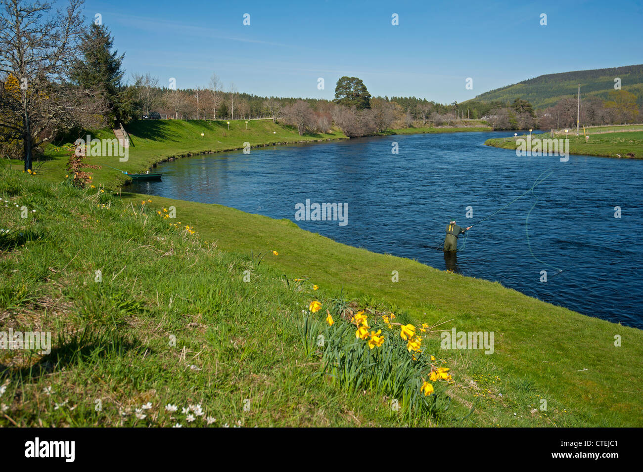 Lachs Angler auf den schottischen River Spey im Frühjahr bei Cromdale.  SCO 8242 Stockfoto