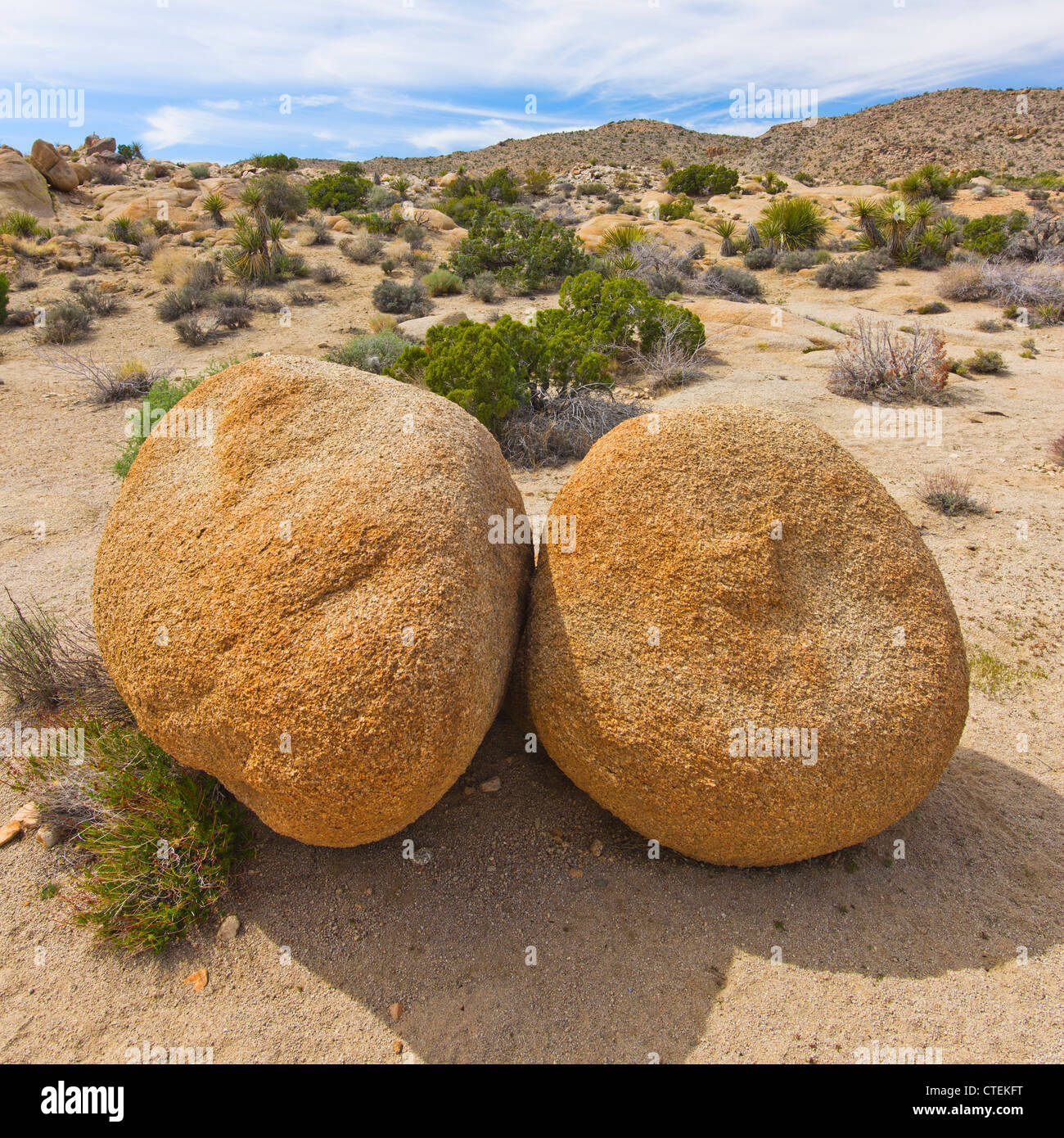 USA, California, Joshua Tree Nationalpark, Felsen in der Wüste Stockfoto