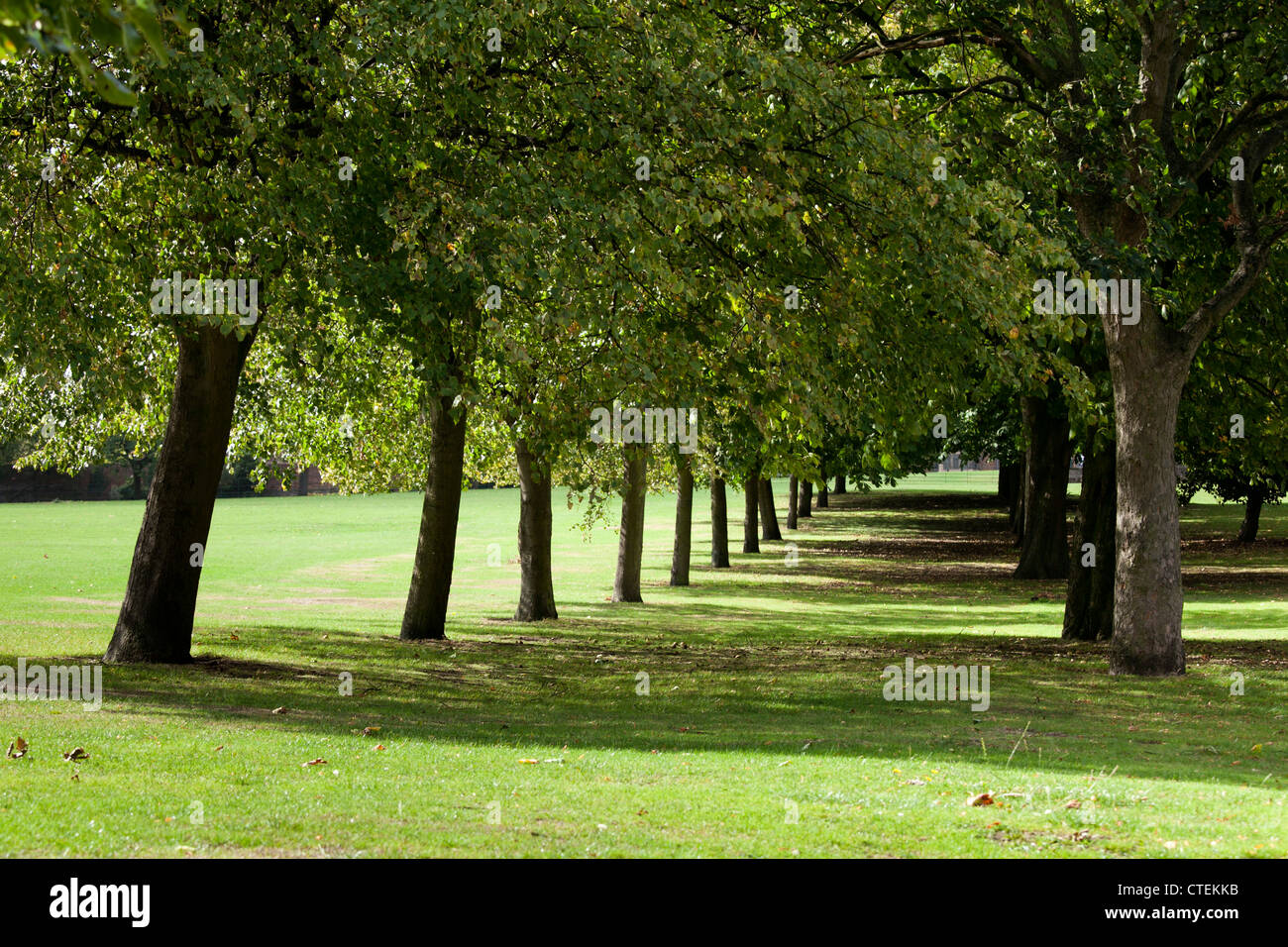 Aston Hall Park, Aston, Birmingham, UK. Der Park ist in der Nähe der wichtigsten Autobahn ins Stadtzentrum von Birmingham. Stockfoto