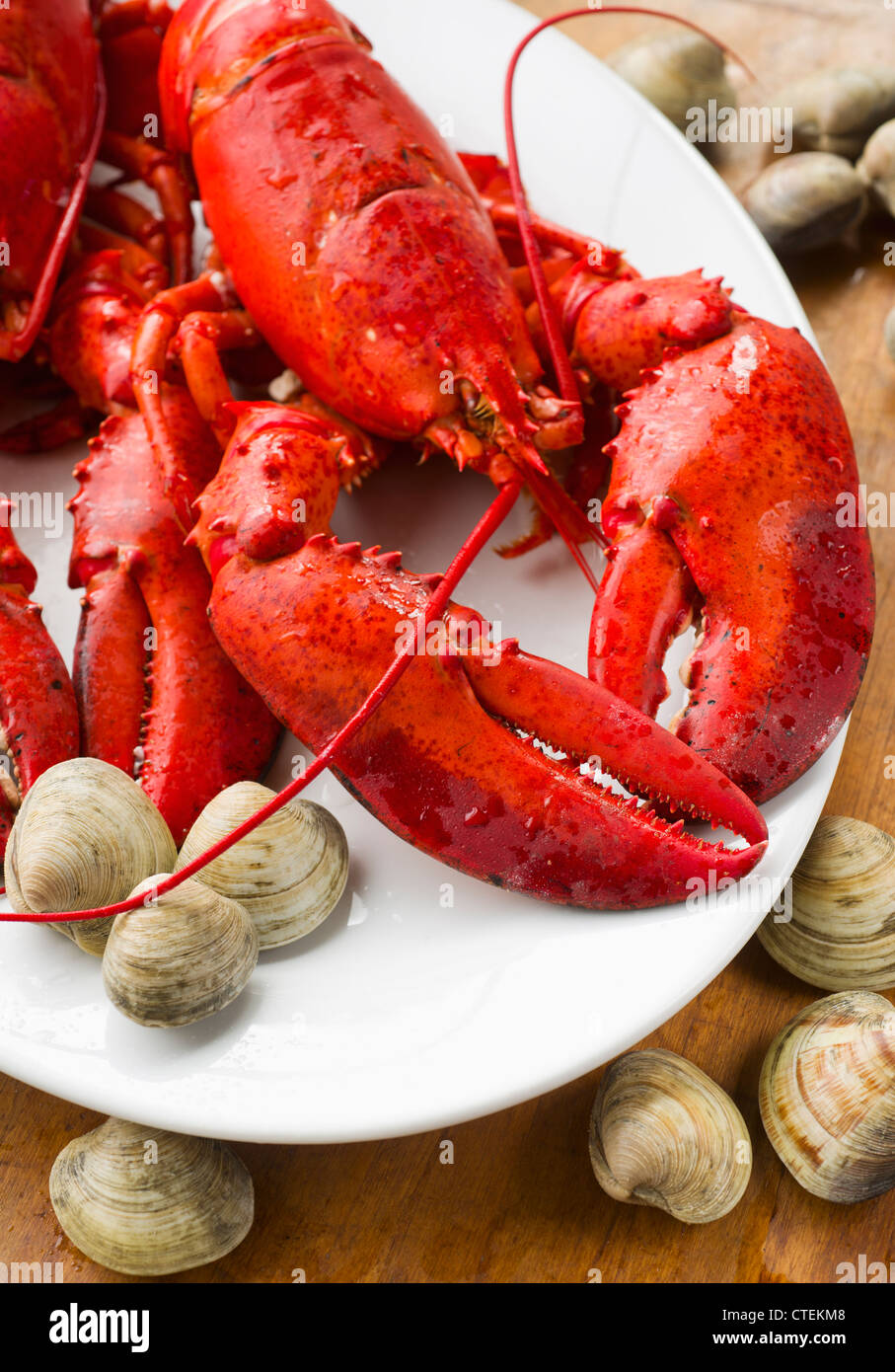 Gekochter Hummer Stockfoto