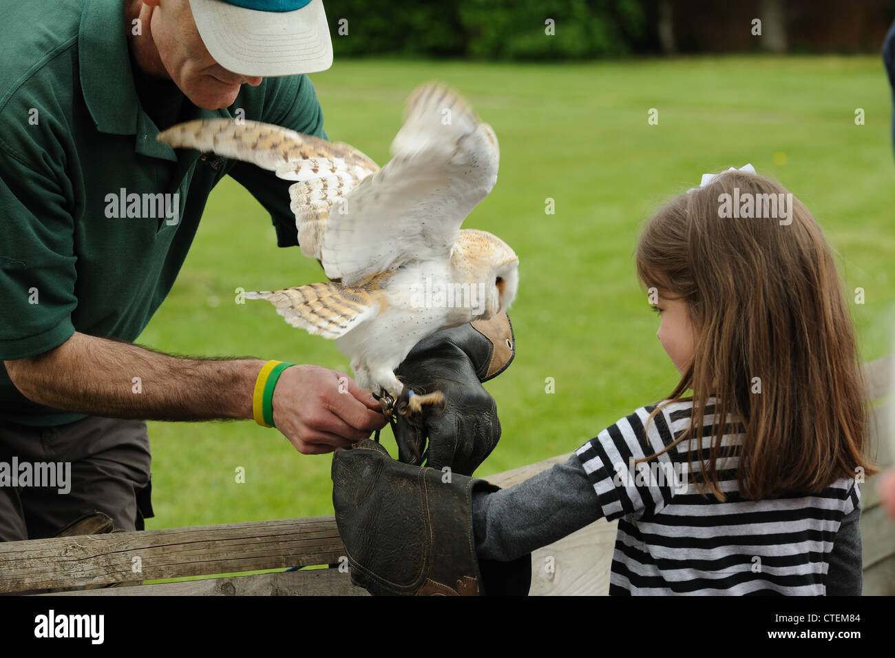 Junges Mädchen mit einer Schleiereule bei Weyhill Hawk Conservancy Trust in Hampshire Stockfoto