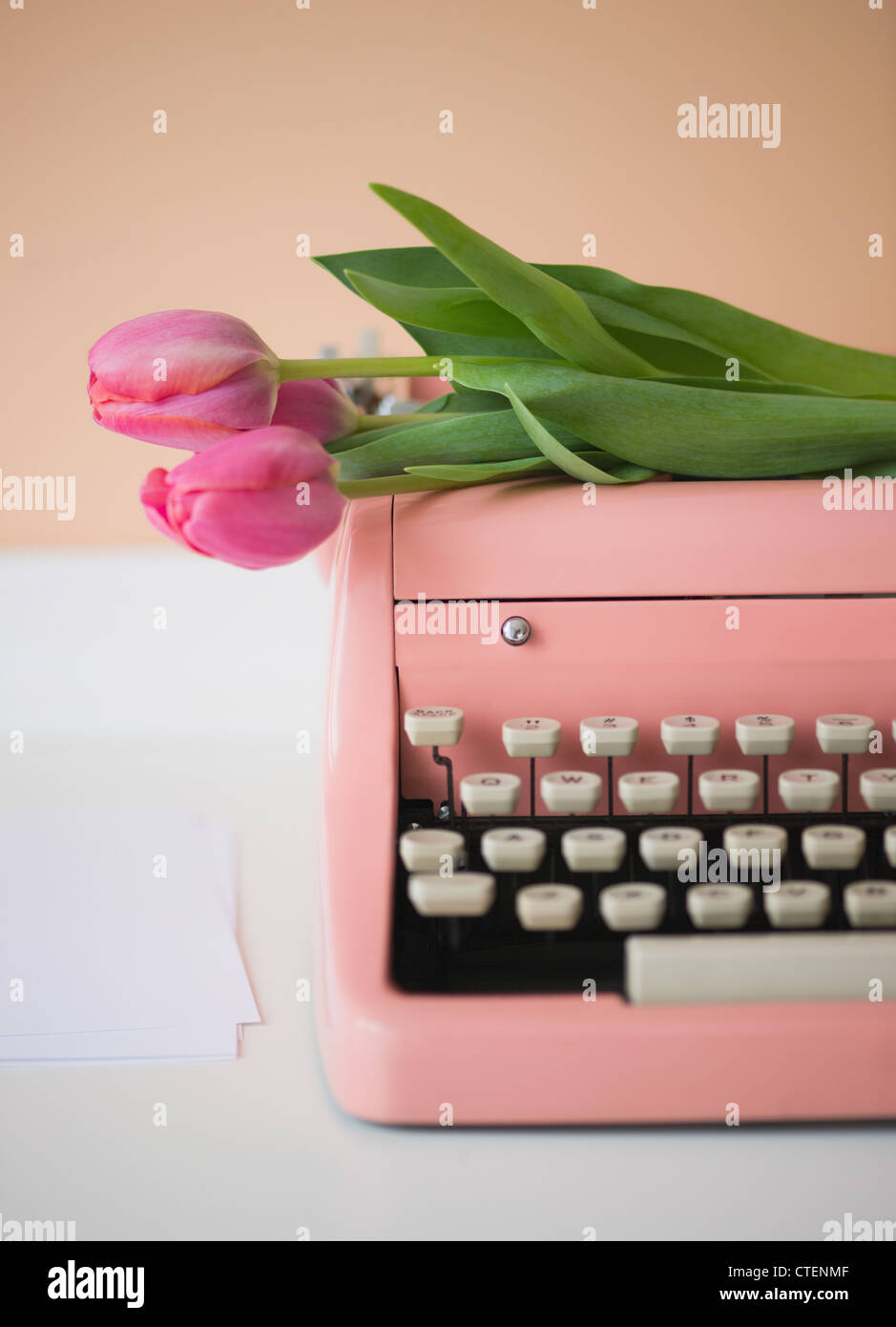 Rosa Schreibmaschine und Tulpen Stockfoto