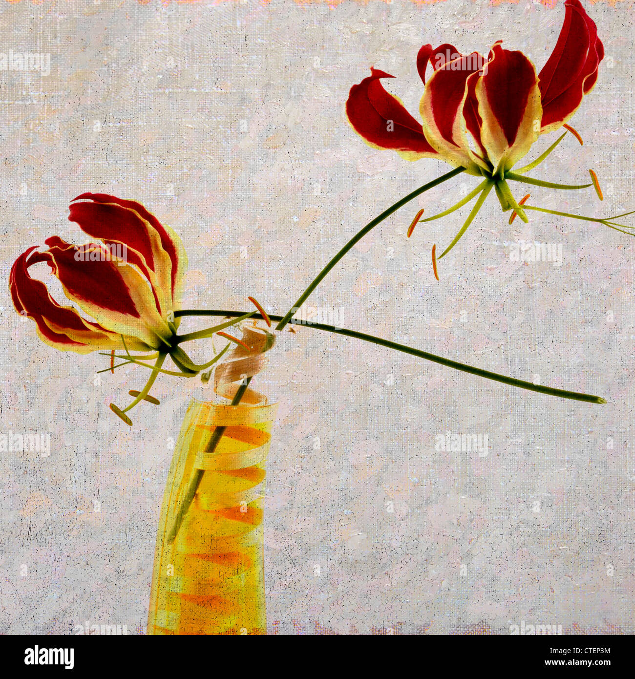 Orchidee blüht, Vintage-Look - strukturierte Effekt-Grafik. Stockfoto