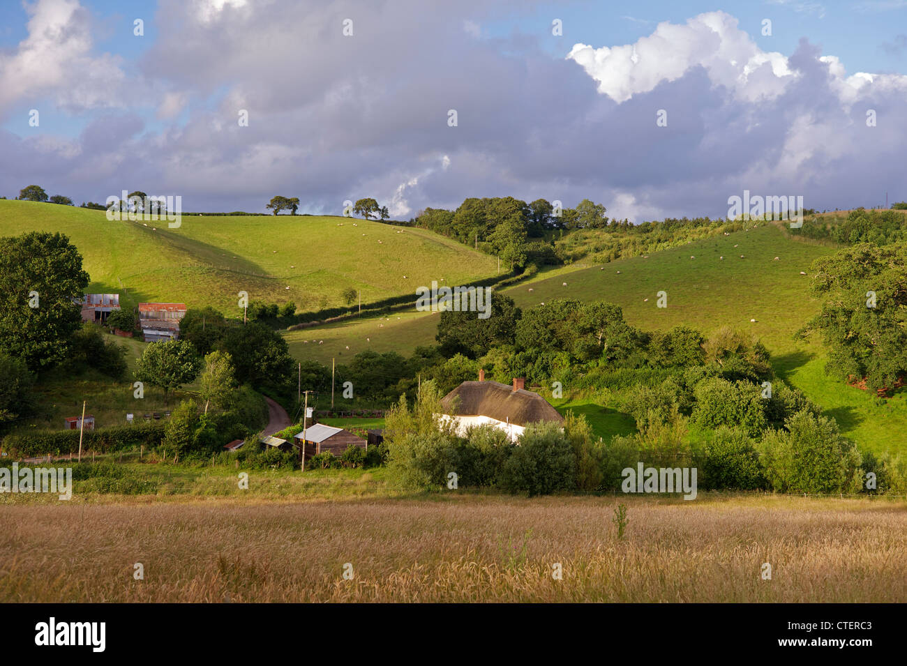 Landschaft in der Nähe von Crediton Mid Devon UK Stockfoto