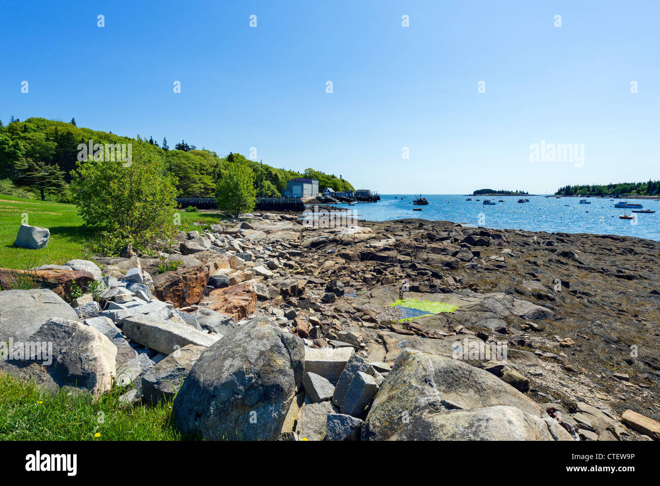 Küste im Dorf von Mietern Hafen auf St George Halbinsel, Knox County, Maine, USA Stockfoto