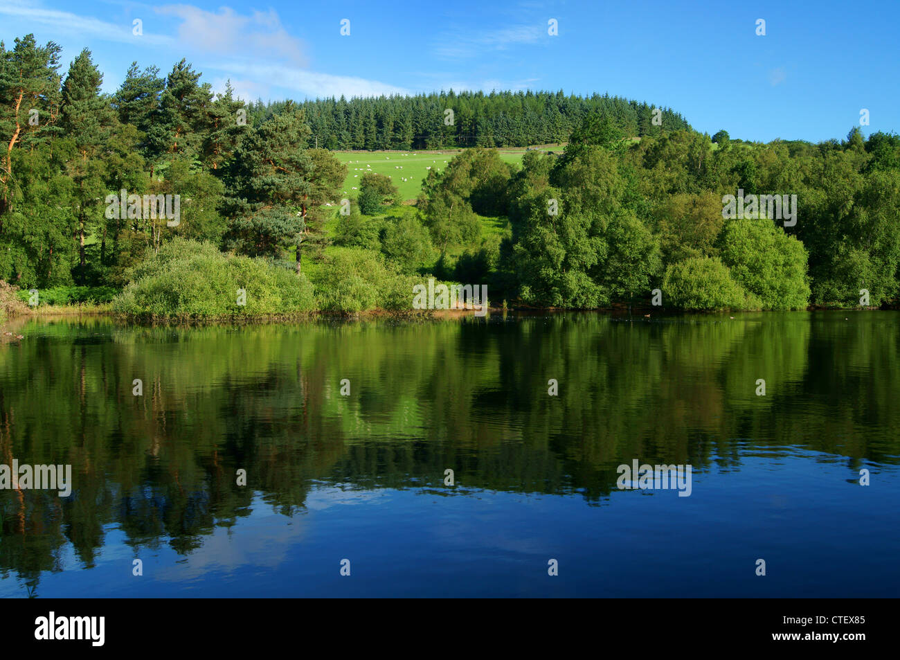 UK, South Yorkshire, Peak District, in der Nähe von Sheffield, Dale-Dyke-Reservoir Stockfoto