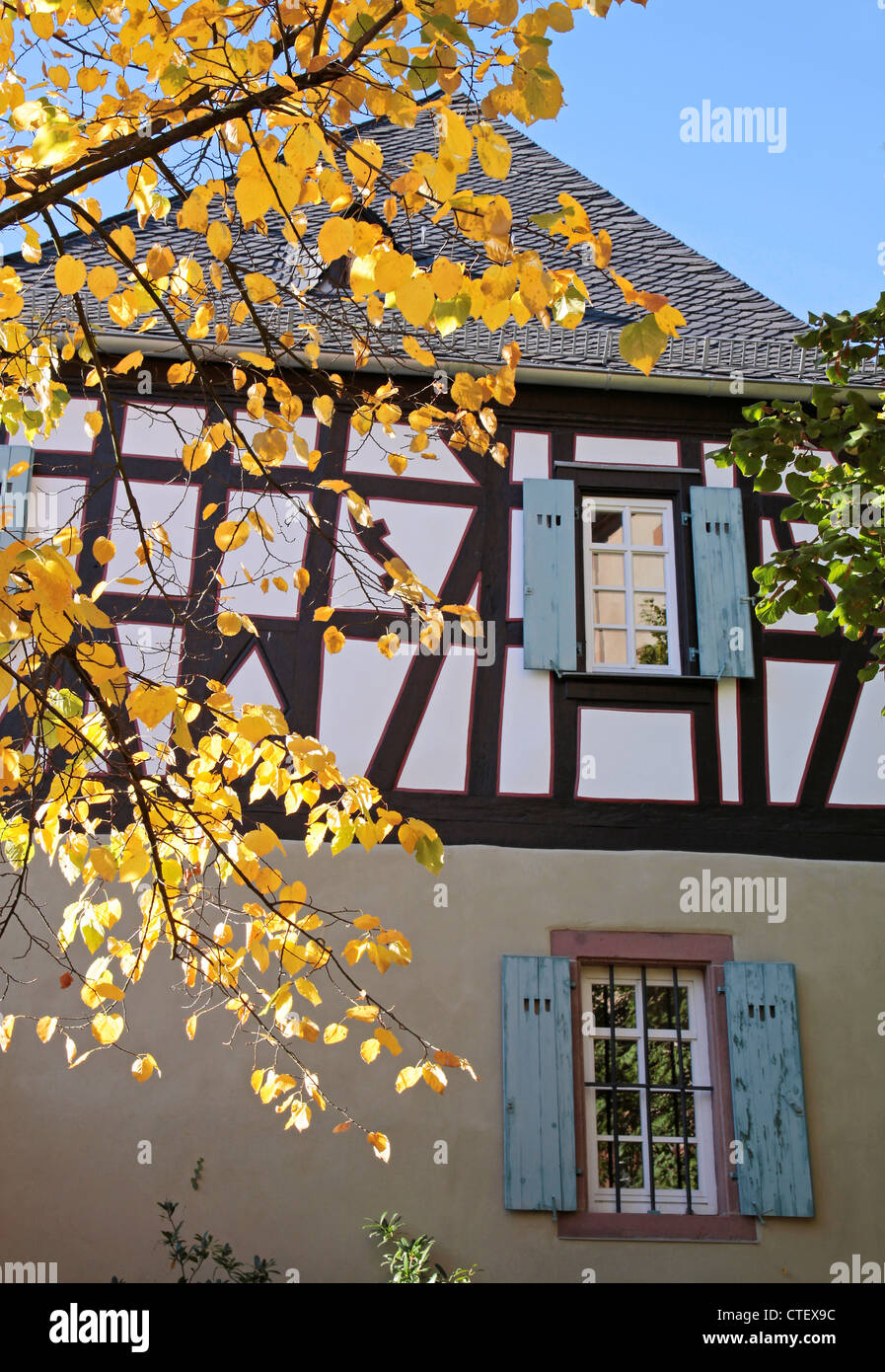 Herbstlaub vor ein altes Fachwerkhaus in Kiedrich, Rheingau, Hessen, Deutschland Stockfoto