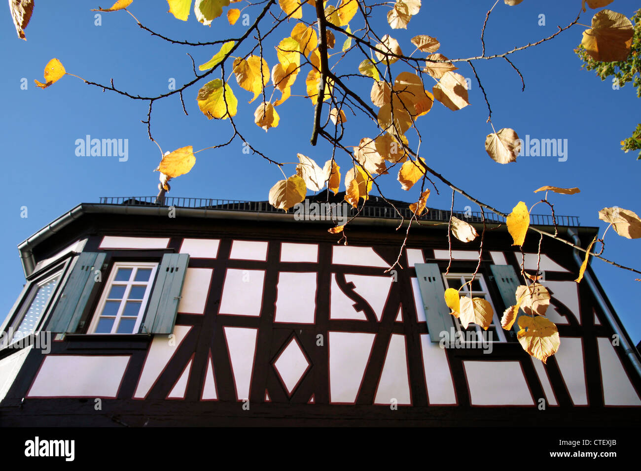 Herbstlaub mit Fachwerkhaus in Kiedrich, Rheingau Stockfoto