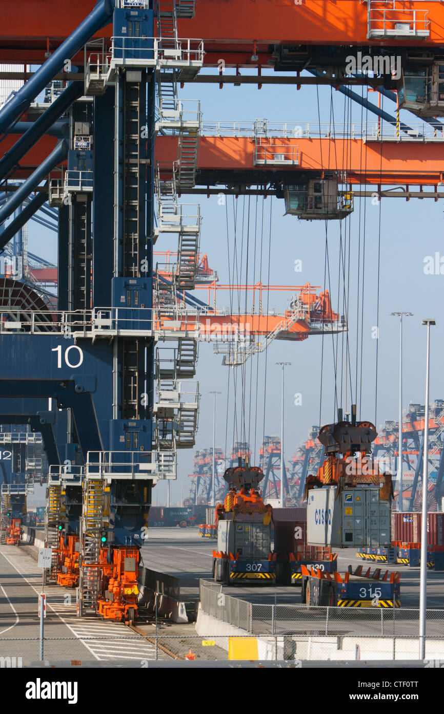 Hafenkräne heben Container im Hafen oder in Rotterdam Stockfoto