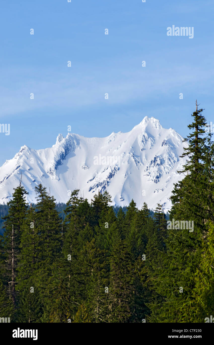 Cascade Mountains in Oregon Stockfoto