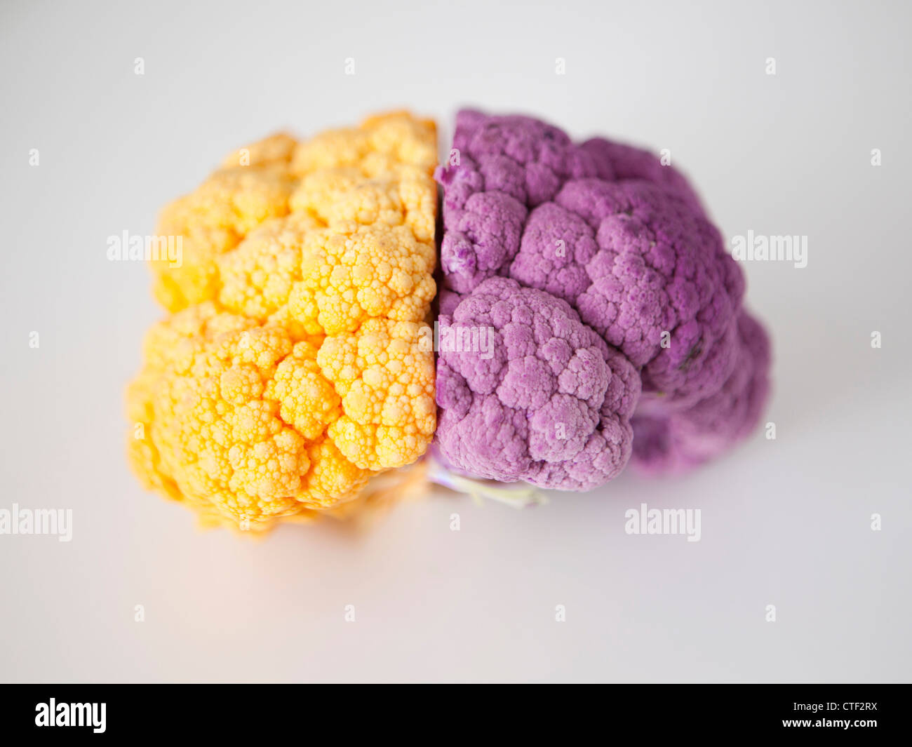 Gelb und lila Blumenkohl, Studio gedreht Stockfoto