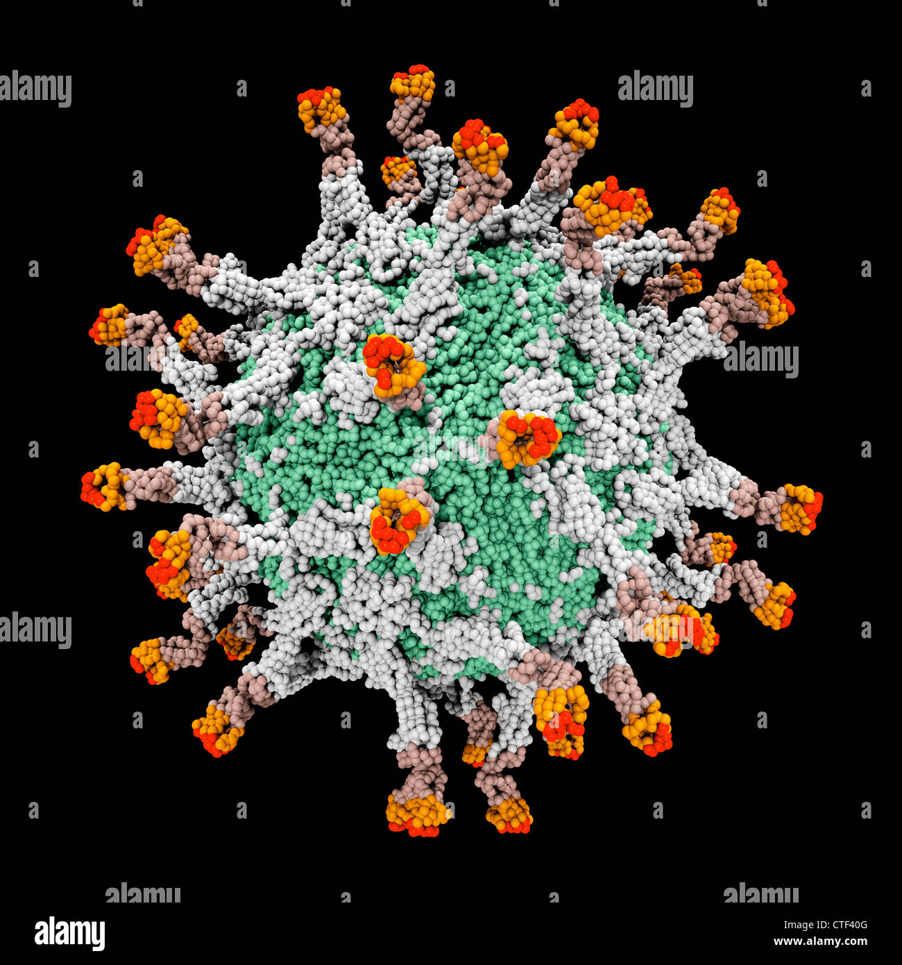 Digital generiert der molekularen 3D-Modell des Polio-virus Stockfoto