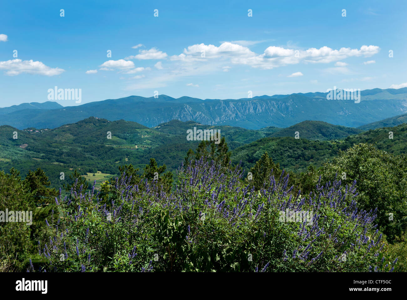 Szene, ländliche Stockfoto