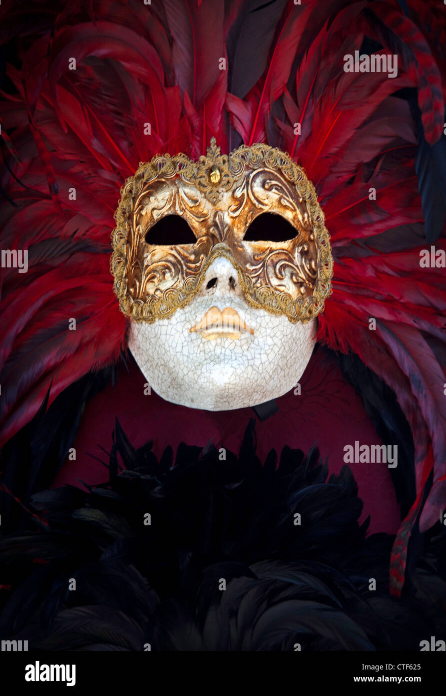 Karneval in Venedig Maske mit roten Federn. Stockfoto
