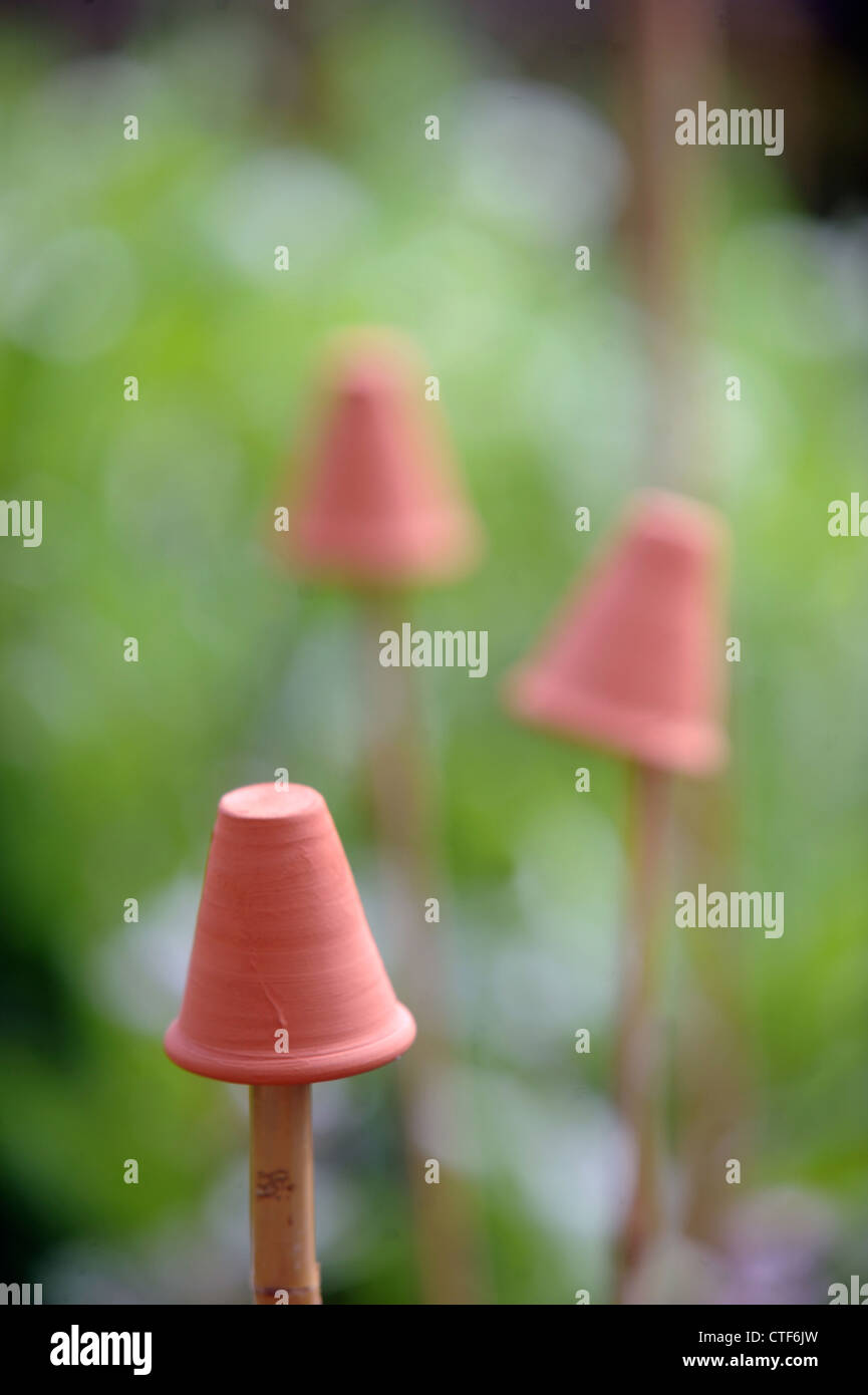 Miniatur-Terrakotta-Töpfe verwendet, da Auge Sicherheit Topper in einem Gemüse Garten UK Zuckerrohr Stockfoto