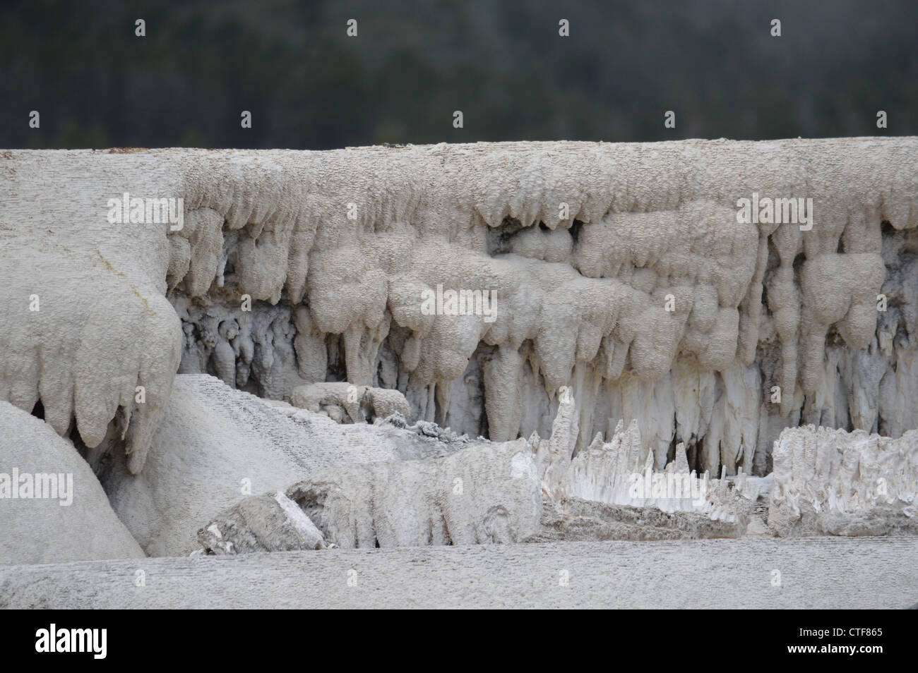 Die oberen Terrassen der Mammoth Hot Springs, Yellowstone-Nationalpark Stockfoto