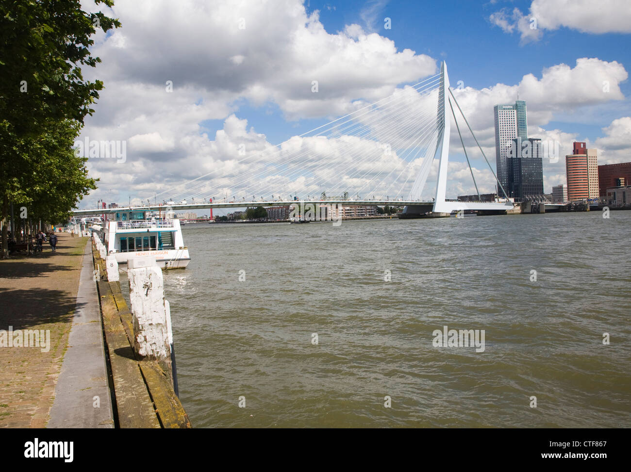 Erasmusbrug Erasmus Brücke Fluss Maas Rotterdam Niederlande Stockfoto
