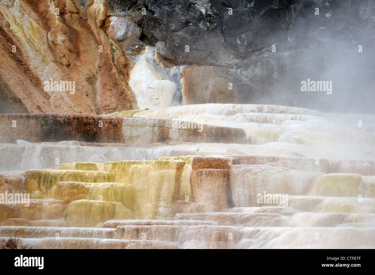 Die oberen Terrassen der Mammoth Hot Springs, Yellowstone-Nationalpark Stockfoto