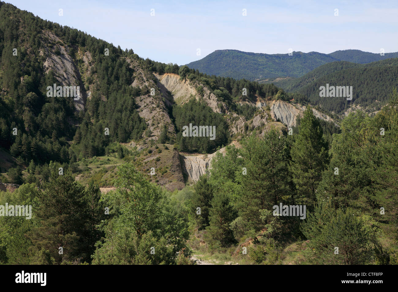 Spanien, Aragon, Pyrenäen, Ara Flusstal, Landschaft, Stockfoto