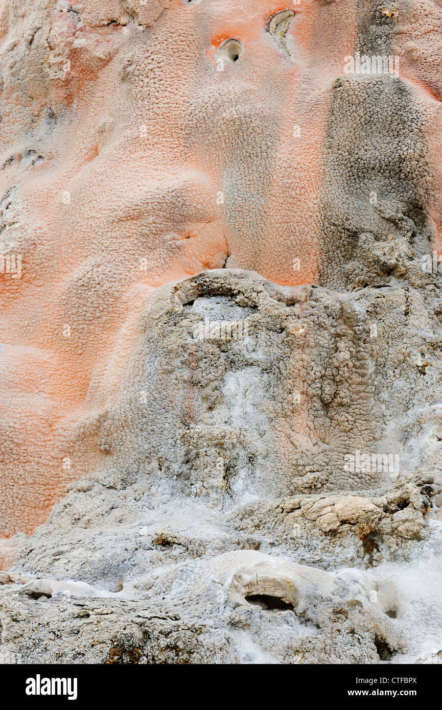 Weiße Kuppel Geysir-Travertin details Yellowstone Nationalpark in Wyoming Stockfoto