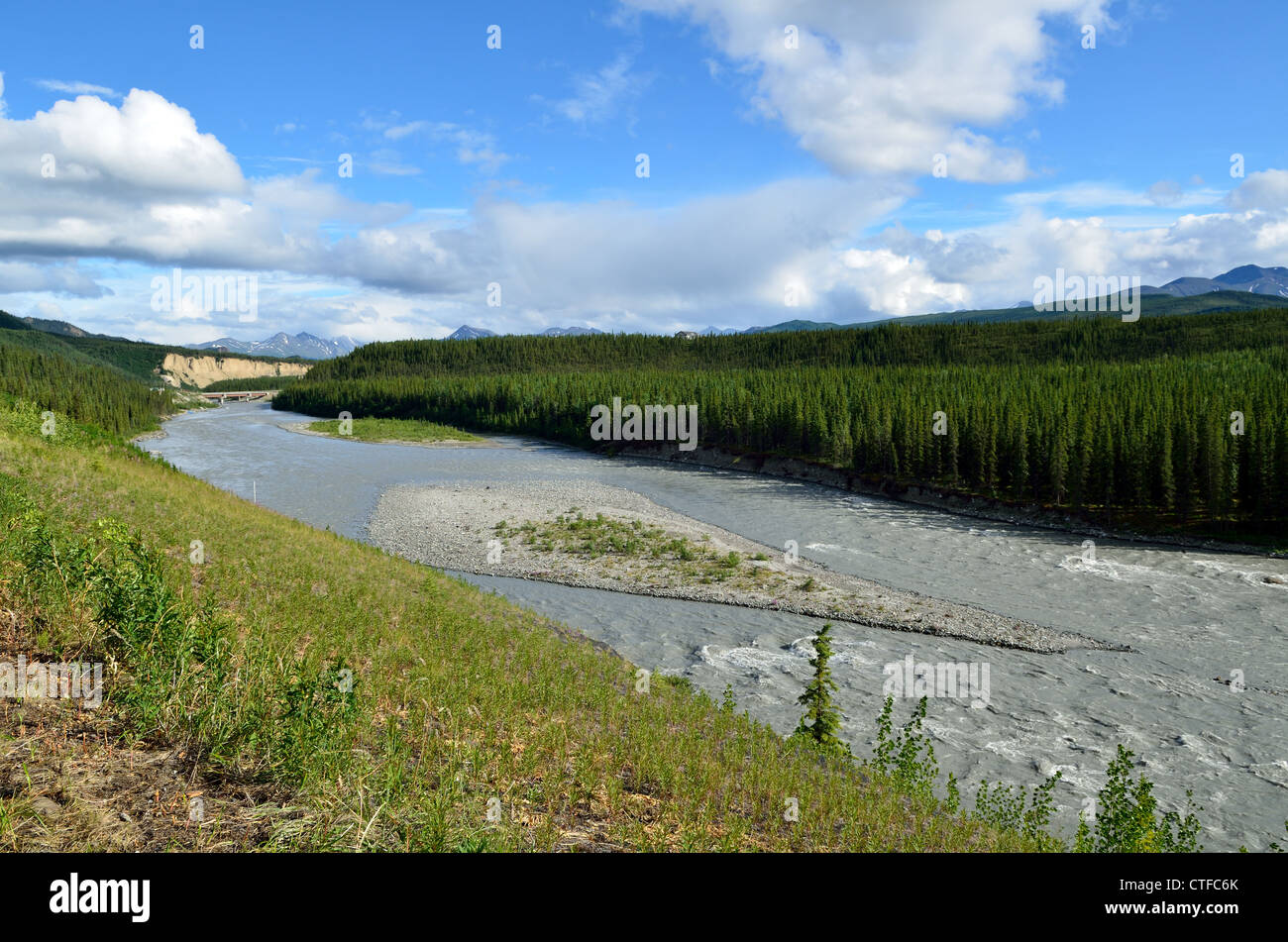 Nenana River ist die östliche Grenze des Denali Nationalpark und
