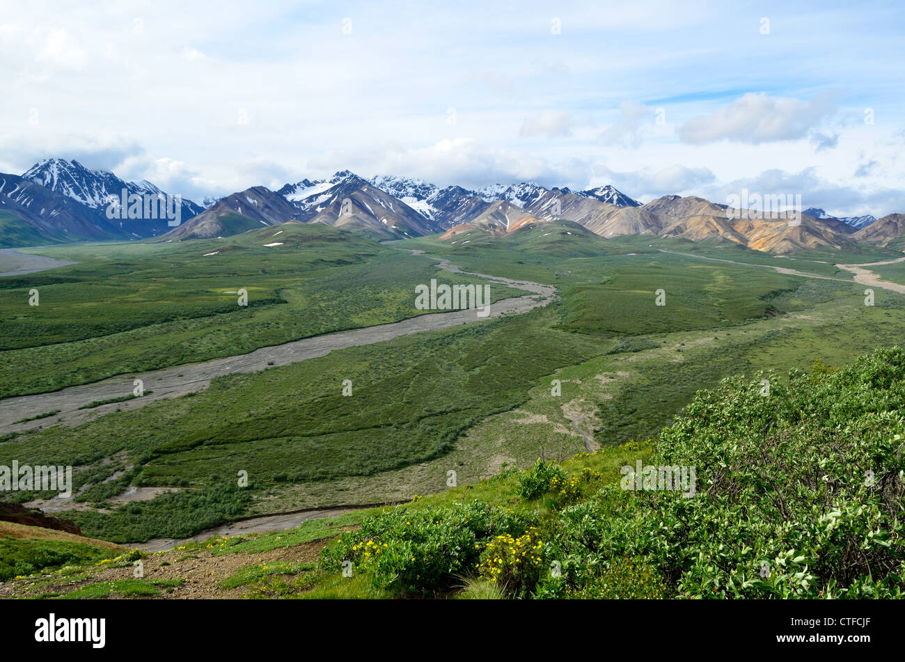 Berge und Flüsse im Denali-Nationalpark und Wildheit zu bewahren. Alaska, USA. Stockfoto