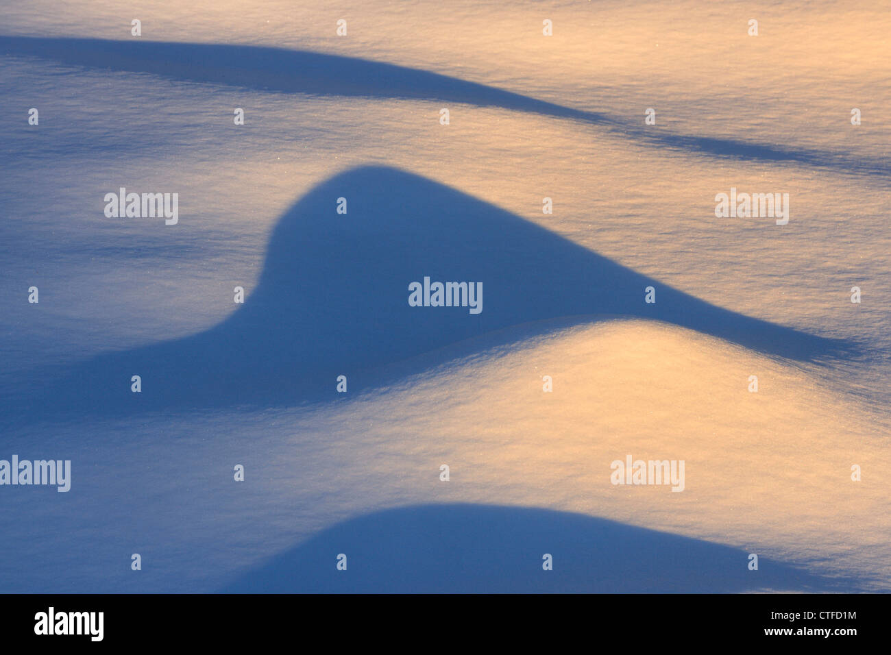 Am späten Abend Schatten auf dem Schnee, Greater Sudbury, Ontario, Kanada Stockfoto