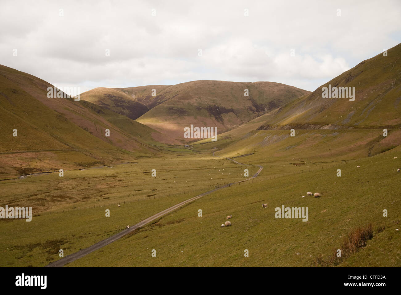 Das Hochland von Schottland, in der Grafschaft Dumfries und Galoway Stockfoto