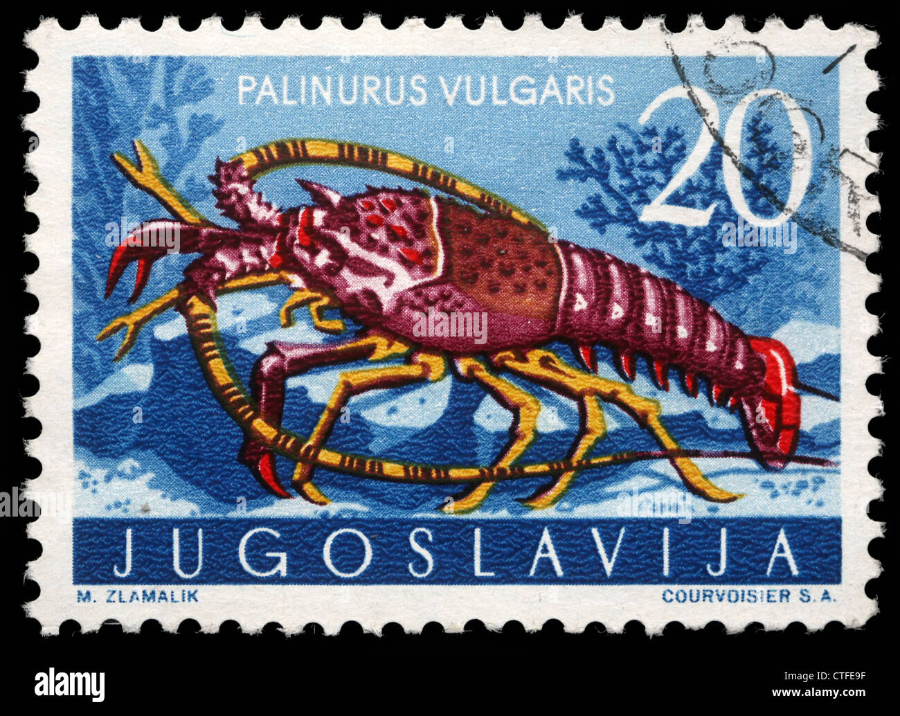 Jugoslawien - ca. 1965: Eine Briefmarke gedruckt in Jugoslawien zeigt die Languste, ca. 1965 Stockfoto