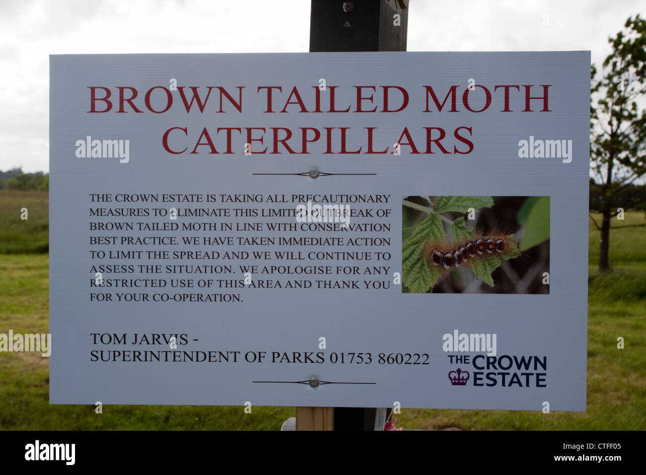 Warnschild im Windsor Great Park Warnung des Risikos Brown angebundene Motte Raupen die Berührung Stockfoto
