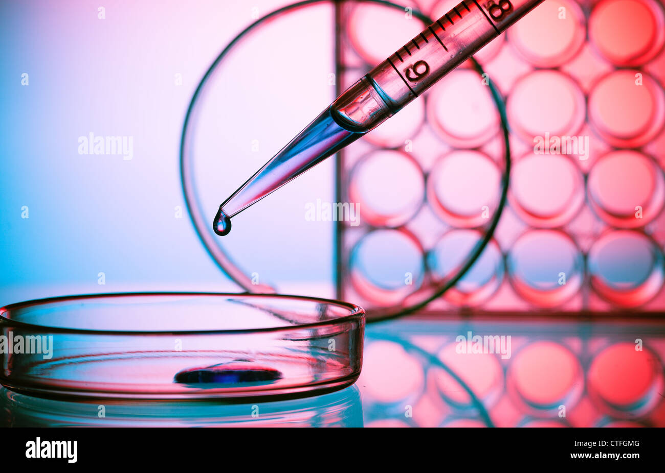 Pipette und Petrischale biochemischen Labor Stockfoto