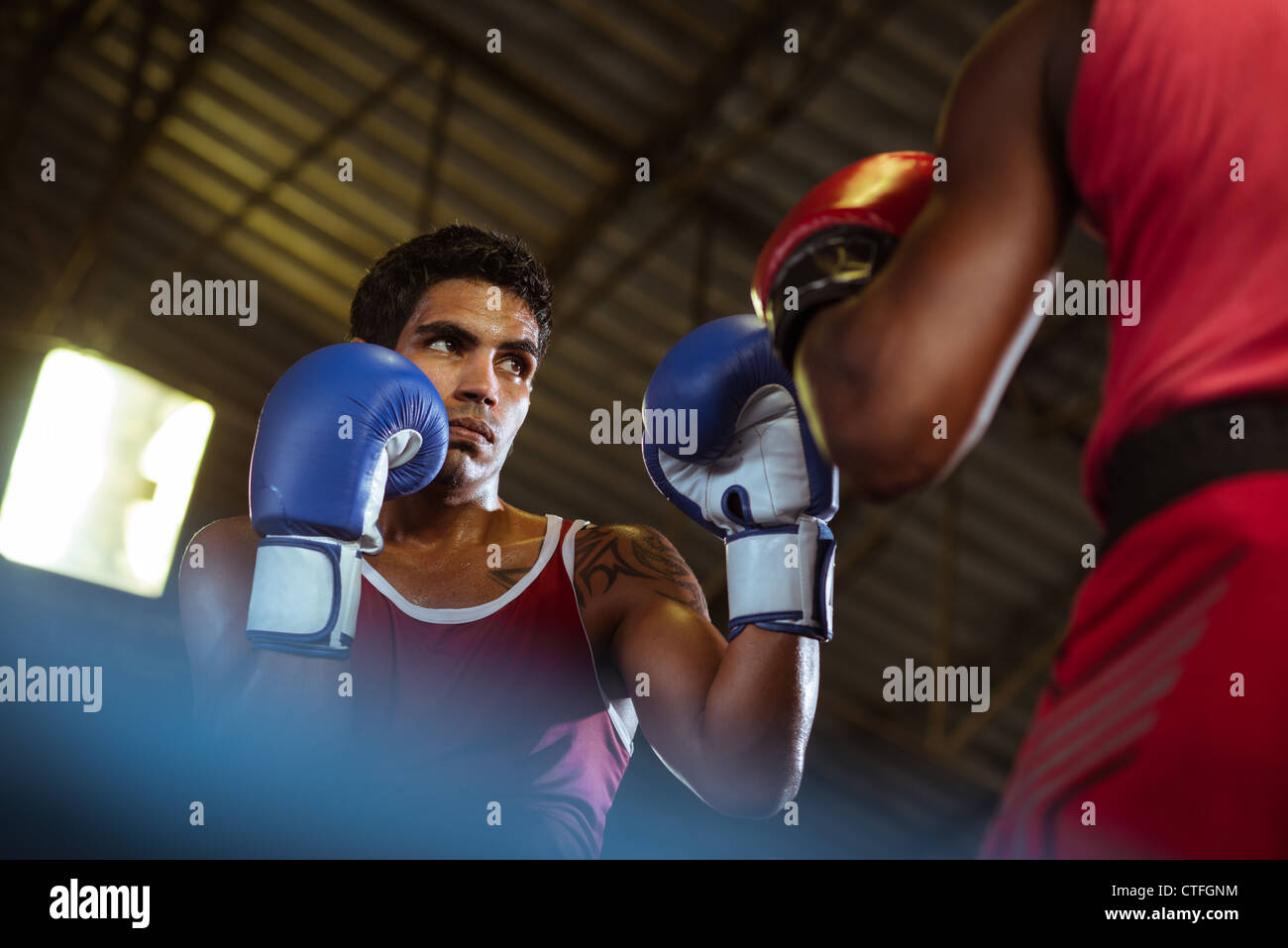 Sport und Menschen, zwei Männer trainieren und kämpfen im Box-gym Stockfoto
