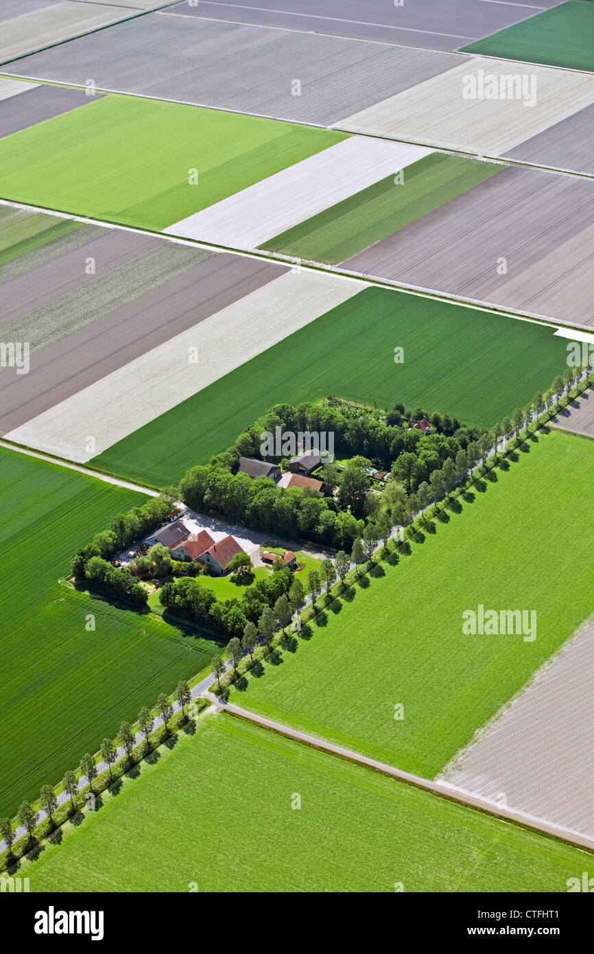 Die Niederlande, Nagele, Farmen und Ackerland in Flevopolder. Antenne. Stockfoto