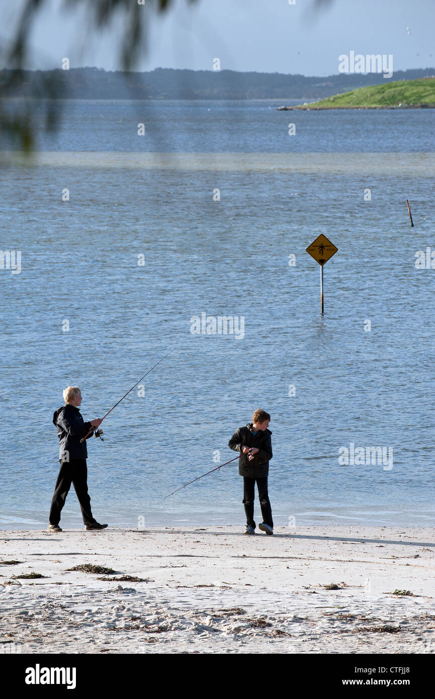 Zwei jungen Fischen auf Middleton Beach in Albany, Western Australia Stockfoto