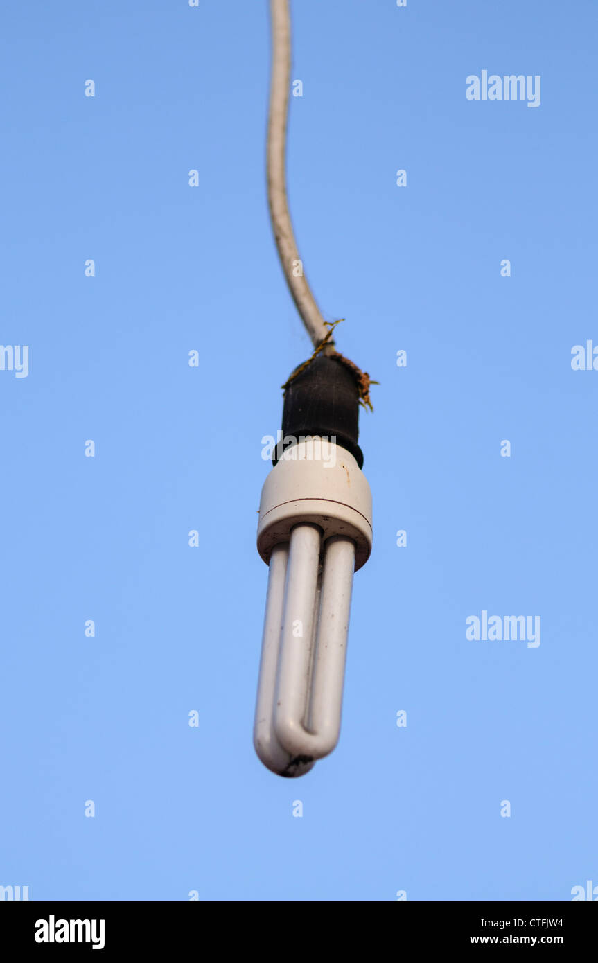 Ungedeckte Niedrigenergie-Glühbirne vor einem blauen Himmel draußen hängen Stockfoto