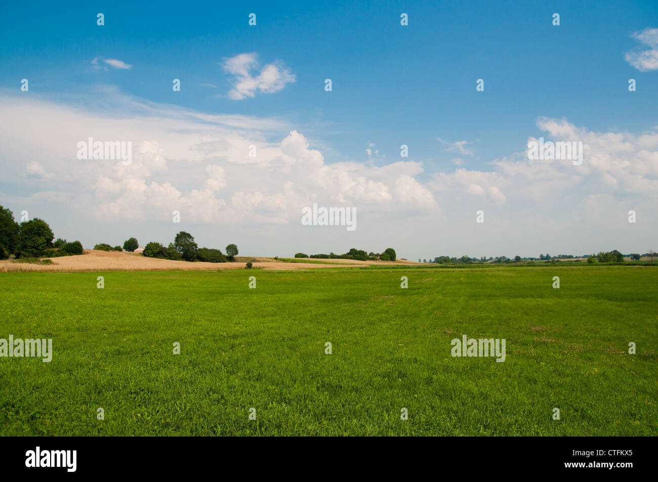 Polnische Landschaft Sommer Land in der Nähe von Zamosc, Stockfoto