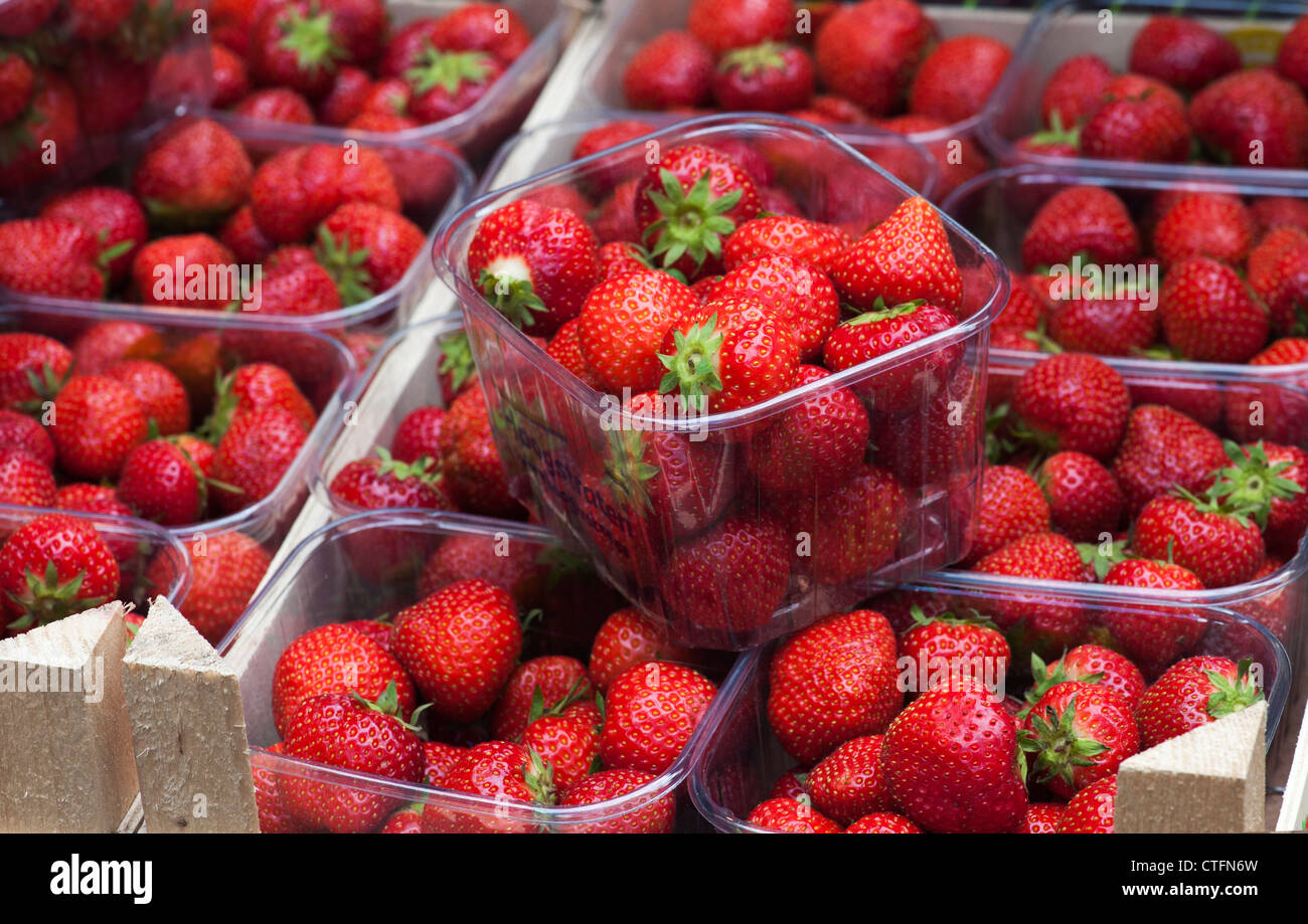 Bastkörbe Erdbeeren zu verkaufen, selektiven Fokus Stockfoto