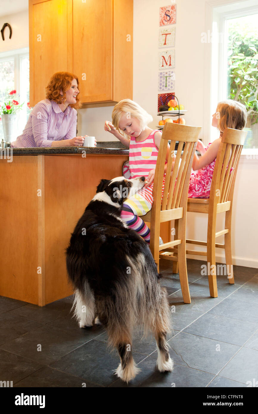 Eine Mutter und zwei Töchter sind in der Küche, eine Tochter Fütterung des Hundes. Stockfoto