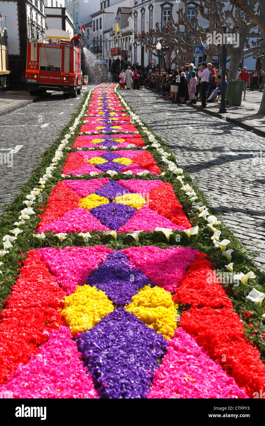 Blumenteppiche aus künstlich gefärbt Holzspänen hergestellt. Sao Miguel, Azoren, Portugal Stockfoto